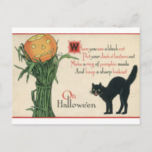 Cartão Postal Gato Preto Halloween Poema Vintage
