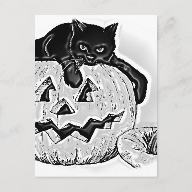 Cartão Postal Gato Preto Laranja Abóbora Halloween (Frente)