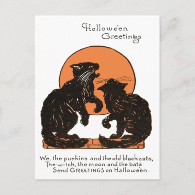 Cartão Postal Gato Preto Lua Cheia Laranja Preto (Frente)