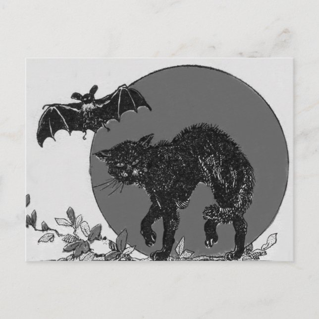 Cartão Postal Gato Preto Monocromático Morcego Lua Cheia (Frente)