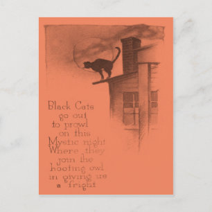 Cartão Postal Gato Preto Na Lua Cheia