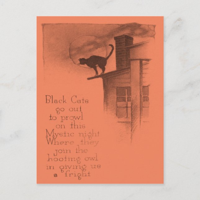 Cartão Postal Gato Preto Na Lua Cheia (Frente)