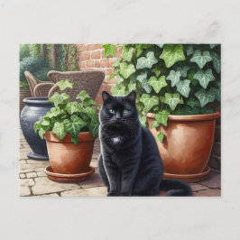 Cartão Postal Gato Preto no Jardim Amantes de Gatos