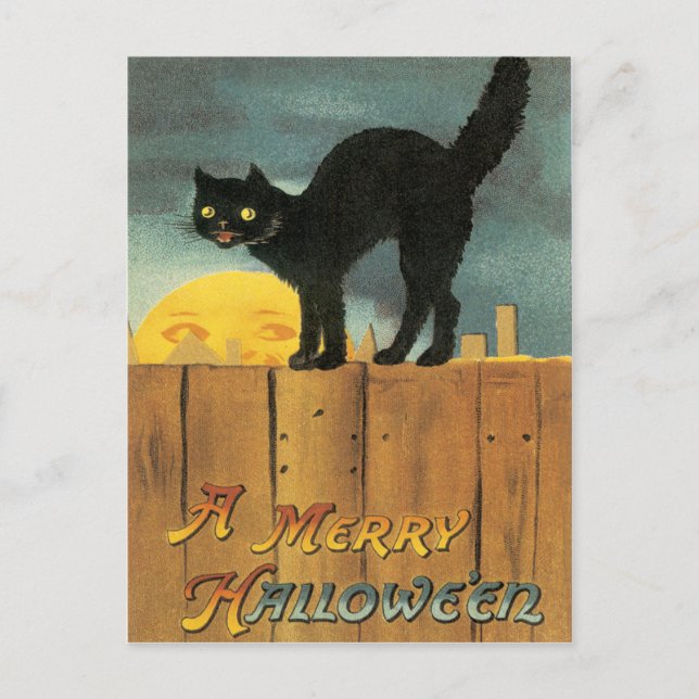 Cartão Postal Gato Preto Numa Cerca Postal Antiga (Frente)