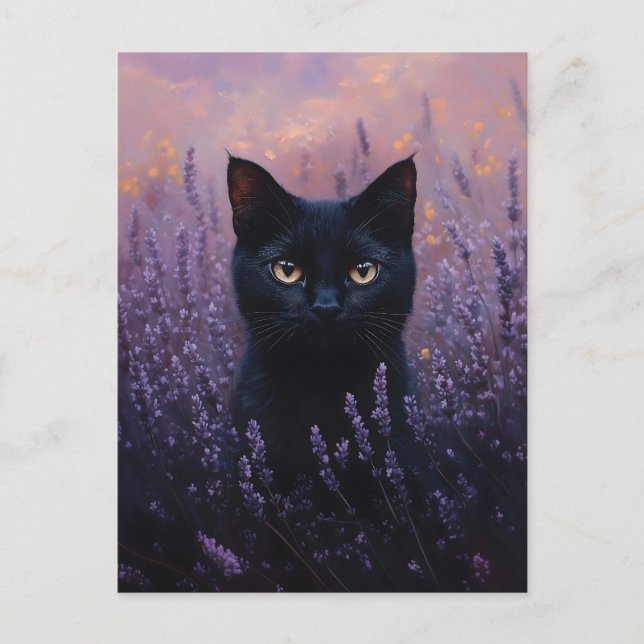 Cartão Postal Gato Preto numa Ilustração de Campo de Lavanda (Frente)