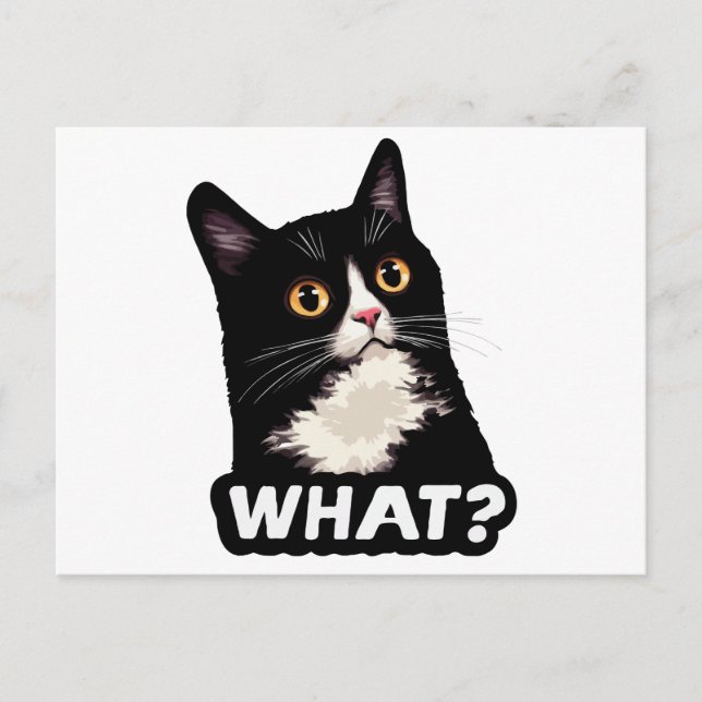 Cartão Postal Gato Preto O quê? (Frente)