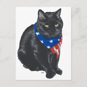 Cartão Postal Gato Preto Patriótico