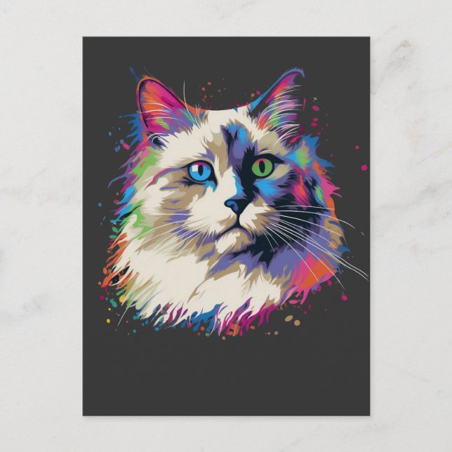 Cartão Postal Gato Ragdoll Coloroso (Frente)