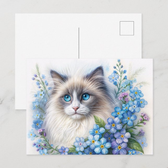 Cartão Postal Gato Ragdoll Com Não-Me-Esqueças (Frente/Verso)