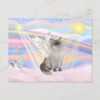 Cartão Postal Gato Ragdoll (Ponto Azul) Anjo - Nuvens