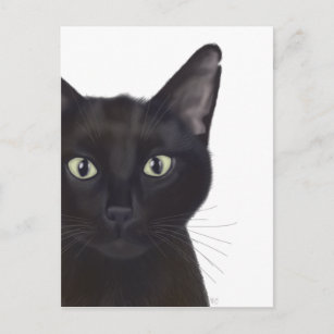 Cartão Postal Gato, Retrato de Gus