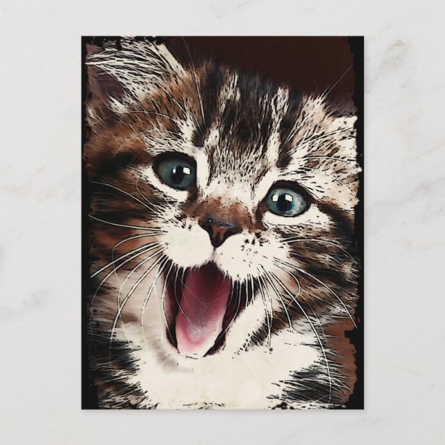 Cartão Postal Gato Rindo (Frente)