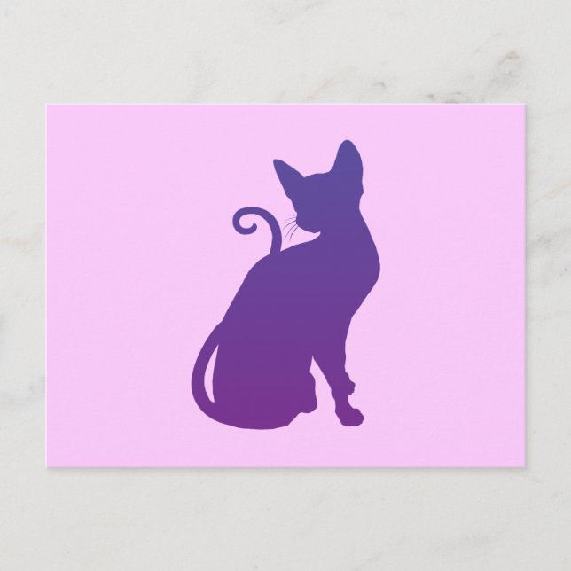 Cartão Postal Gato Rosa e Roxo (Frente)