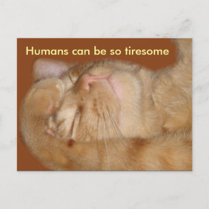 Cartão Postal Gato Sarcástico - Humanos Podem Ser Tão Cansativos