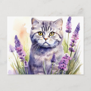Cartão Postal Gato Scottish Fold em Campo de Lavanda à Aguarela
