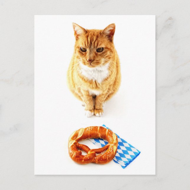Cartão Postal Gato sentado em frente ao pretzel Oktoberfest (Frente)