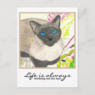 Cartão Postal Gato Siamês - "A vida está sempre a resultar para
