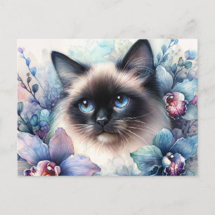 Cartão Postal Gato Siames entre Orquídeas