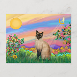 Cartão Postal Gato Siames - Estrela do Dia