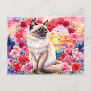 Cartão Postal Gato siamês namorados no Coração dos Rosas Sunset