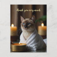Gato Siames no spa muito obrigado