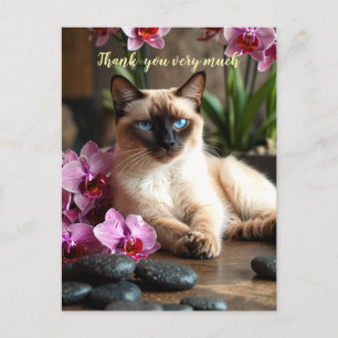 Cartão Postal Gato Siames no Spa muito obrigado 