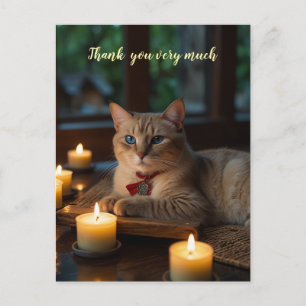 Cartão Postal Gato Siames no Spa muito obrigado