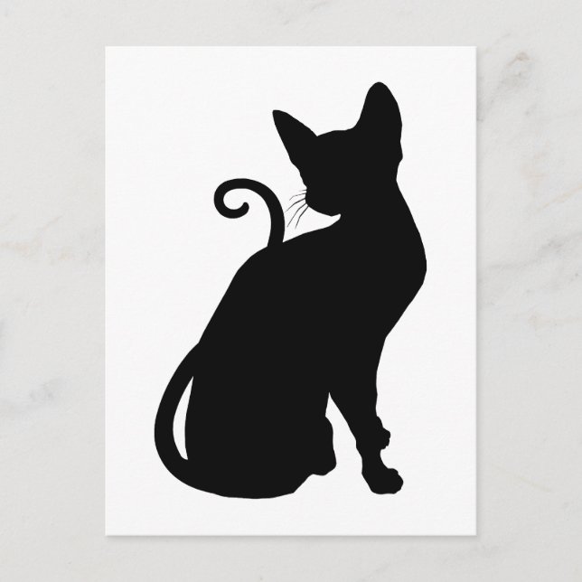 Cartão Postal Gato Silhouette (Frente)