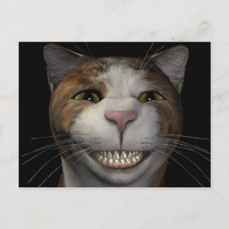 Cartão Postal Gato sorridente