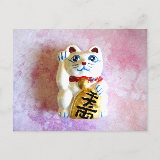 Cartão Postal Gato Sortudo (Frente)