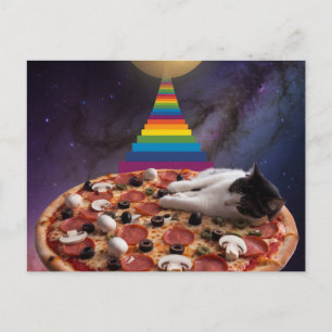 Cartão Postal Gato Surreal Dormindo numa Pizza