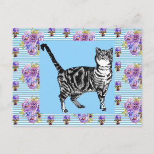 Cartão Postal Gato Tabby Chic Desbotado Arte de Listra Pastel Ca