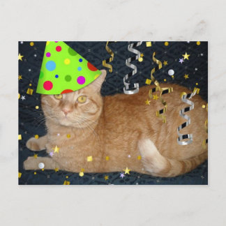 Cartão Postal Gato Tabby Laranja festa de aniversário