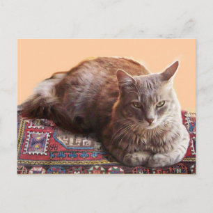 CARTÃO POSTAL GATO TURCO NO TAPETE VELHO