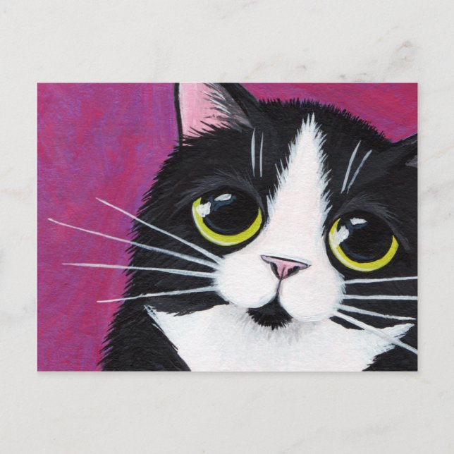 Cartão Postal Gato Tuxedo Kitty em Postcard Rosa (Frente)