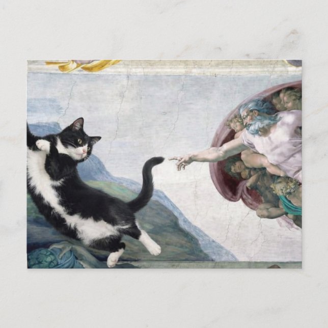 Cartão Postal Gato Tuxedo Tocando a Pata Divina                 (Frente)