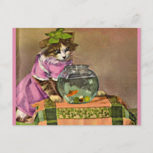 Cartão Postal gato vestido e aquário