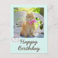 Gato Vintage na Fita e Feliz Aniversário