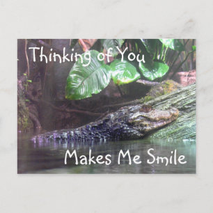Cartão Postal 'Gator Grins: Thinking of You - Postcard