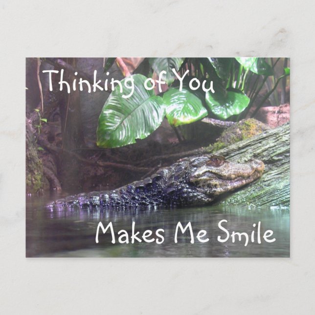 Cartão Postal 'Gator Grins: Thinking of You - Postcard (Frente)