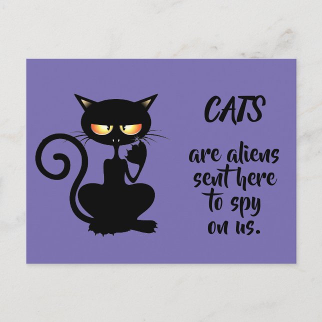 Cartão Postal gatos (Frente)