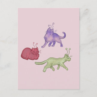 Cartão Postal Gatos Alienígenas Espaço Caprichoso Gato Divertido