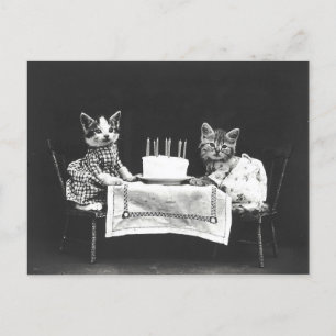Cartão Postal Gatos Antigos em uma Festa de Aniversário