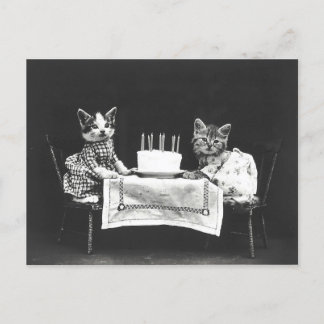 Cartão Postal Gatos Antigos em uma Festa de Aniversário