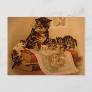 Cartão Postal Gatos Antigos & Livros Escola de Gatinho