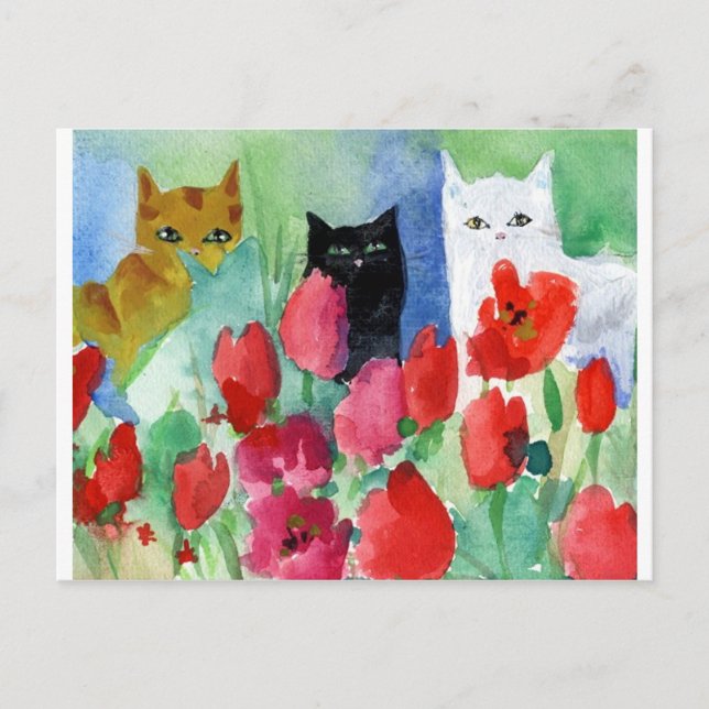 Cartão Postal Gatos bonito (Frente)