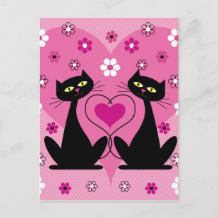 Cartão Postal Gatos bonitos