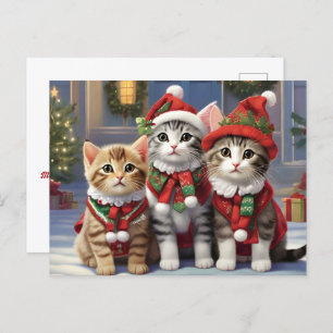 Cartão Postal Gatos Bonitos Com Chapéus De Pai Natal