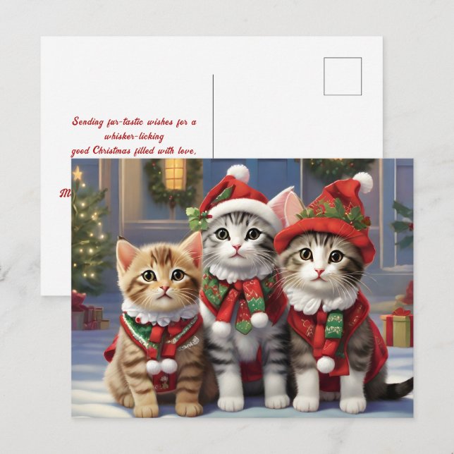 Cartão Postal Gatos Bonitos Com Chapéus De Pai Natal (Frente/Verso)
