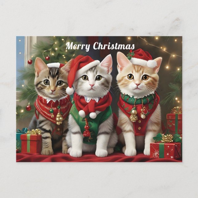 Cartão Postal Gatos bonitos com Whimsic Santa Hats (Frente)